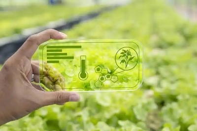 智能農(nóng)業(yè)管理 人工智能如何賦能現(xiàn)代農(nóng)業(yè)的精細化發(fā)展