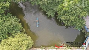 東莞深入推進(jìn)水污染治理攻堅(jiān)戰(zhàn)，碧水清流重現(xiàn)莞邑