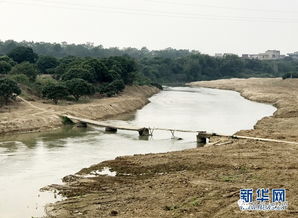 高州小東江水污染治理與湛江攜手合作再上新臺(tái)階