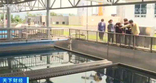 韓城市水污染危機 幼蟲事件引發凈水恐慌與治理反思