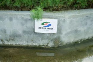 王場鎮重拳出擊 關閉養殖場，深化水污染治理，守護碧水清流