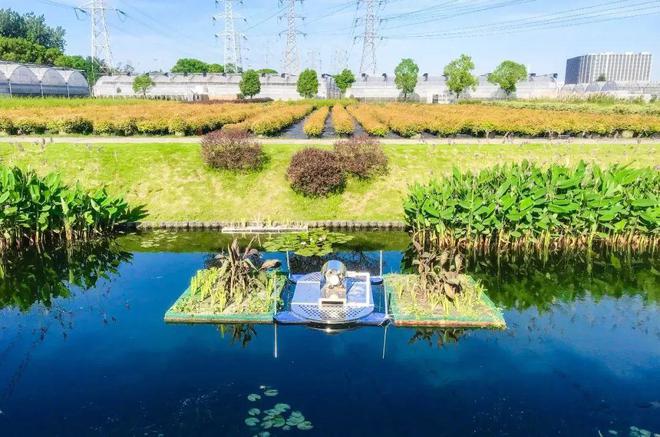 深耕城鄉水體污染治理，這位大學生的創業之路