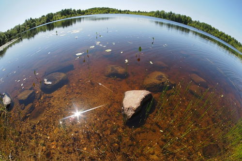 中國環境水污染治理的主要研究機構及其貢獻