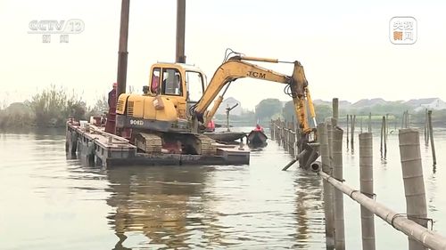 新朋友落戶“浙”里 水污染治理背后的生態蛻變與人文故事