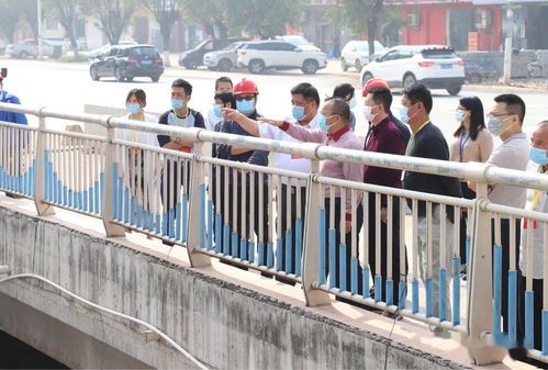 謝崗人大 強化監督職能，組織代表視察水污染治理工作