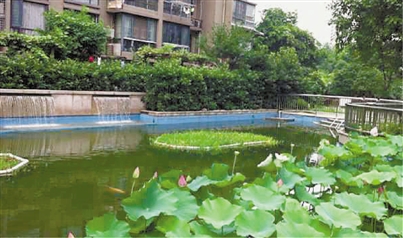 住宅小區(qū)景觀水體污染原因分析與防治對(duì)策探討