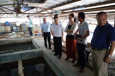 主題教育進(jìn)行時(shí) | 謝崗鎮(zhèn) 以常態(tài)化巡河筑牢治水根基，全力打造水污染治理示范樣板