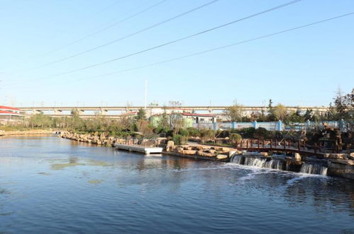 張村河水質凈化廠 以綠色低碳融合加速水污染治理，提升生態顏值